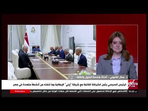 د. جمال القليوبي: مصر صاحبة أعلى معدل أمان واستقرار استثماري في منطقة الشرق الأوسط وشمال إفريقيا