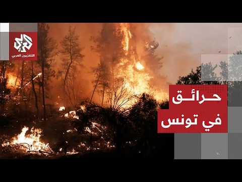 فرق الإطفاء التونسية تواصل عمليات إخماد الحرائق التي اندلعت بجبل برقو في محافظة سليانة
