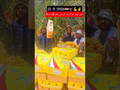 خير بلدنا مصر 🇪🇬 ام الدنيا البرحي رقم واحد #مصر_وطني #المخابرات_العامة_المصرية