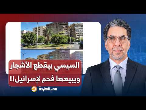 ناصر: فيه حملة وحشيـ ـة لقطع الأشجار في مصر.. السيسي بيبيعها فحم لإسـ ـ ـرائيل!!