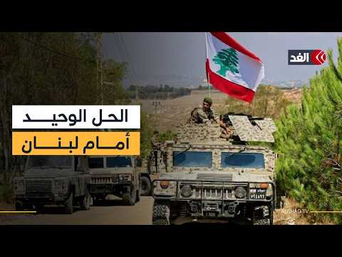 أكاديمي هذا باب الخلاص الوحيد للبنان.. ونراهن على تناقض مصالح إسرائيل وأميركا لانتزاع حل دبلوماسي
