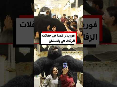 غوريلا راقصة تغزو حفلات الزفاف في باكستان
