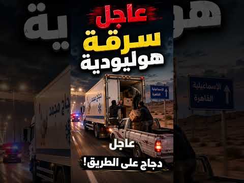 أغرب سرقة في مصر.. سرقوا الدجاج من عربية ماشية!