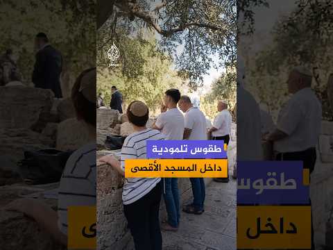 بمناسبة الأعياد اليهودية.. مستوطنون يقتحمون المسجد الأقصى المبارك ويؤدون طقوسا تلمودية