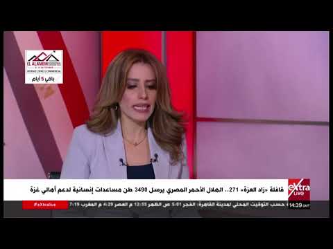 د. وليد عتلم: مصر بالمرصاد للمخططات الإسرائيلية.. وتتصدى لمحاولات تصفية القضية الفلسطينية