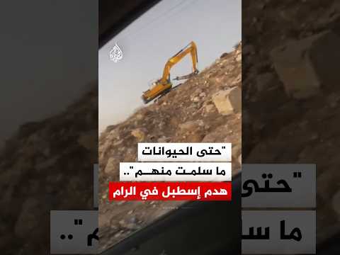 "حتى الحيوانات ما سلمت من إيديهم".. الاحتلال يهدم إسطبلا ببلدة الرام في القدس