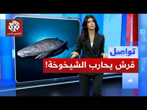 قرش نادر يكشف لك أسرار طول العمر! | تواصل