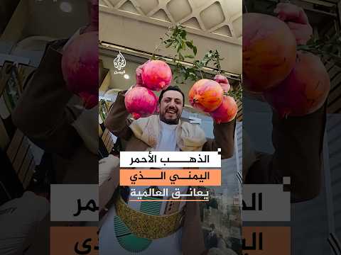 "الذهب الأحمر اليمني".. الرمان اليمني الصعدي أجود الأنواع في العالم
