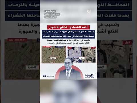 اأحمد الأنصاري قاطع الأشجار في مصر! #shorts #shorts