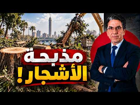 قطعوا الشجر وسابوا الشوارع نار!