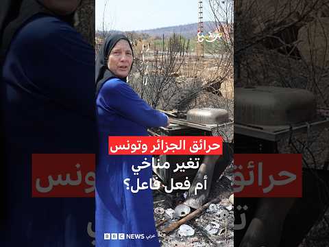 حرائق الجزائر وتونس: أشعلتها الطبيعة أم فعل فاعل؟